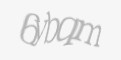 Захисний код